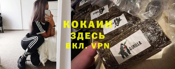 спиды Абаза